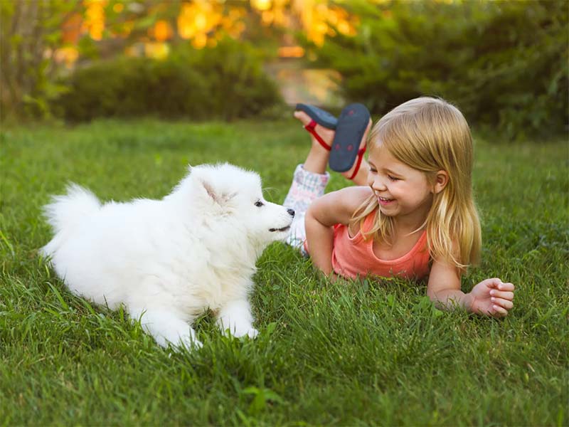 Girl and Dog lawn
