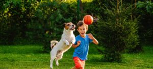 Boy and dog playing with ball